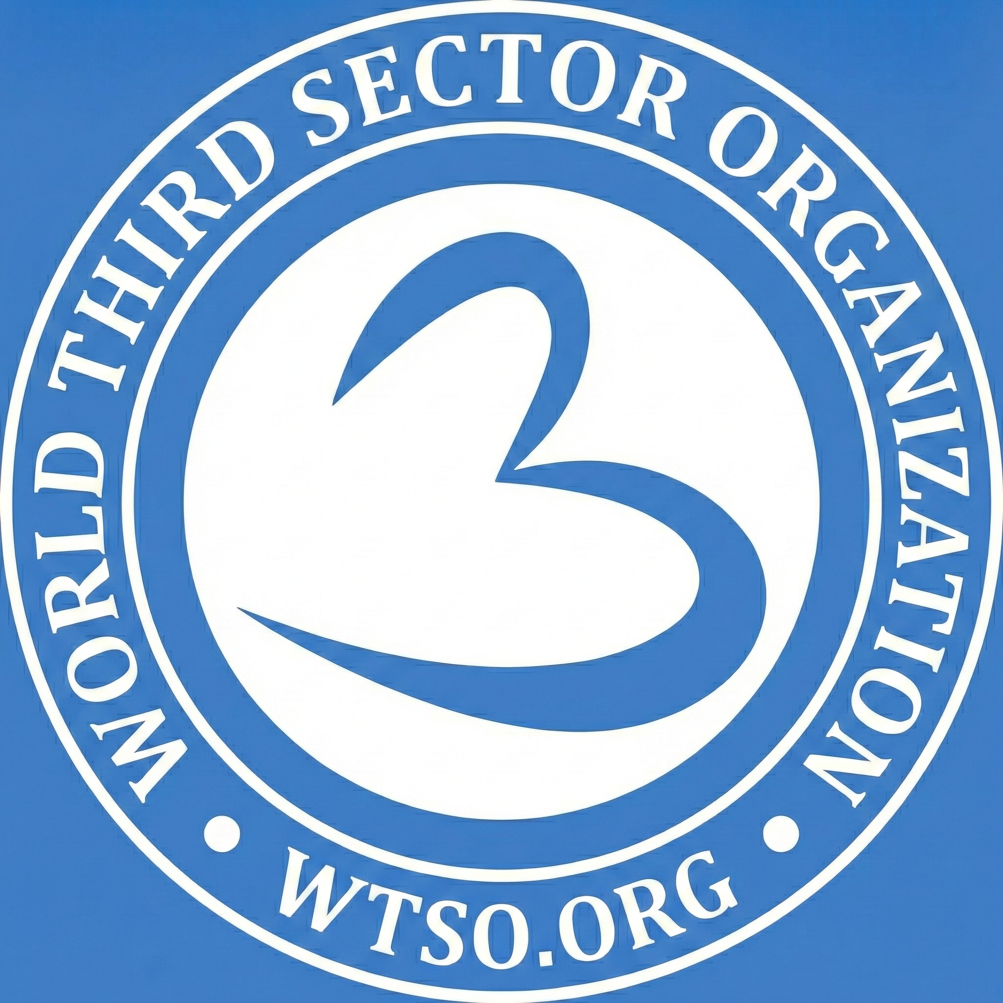 WTSO - World Third Sector Organization